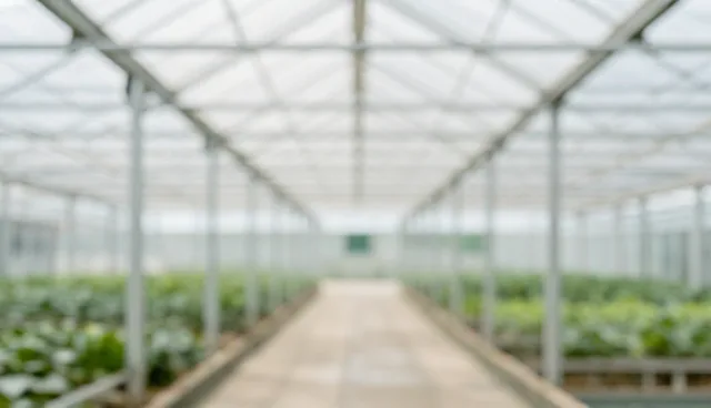 技术外包项目风险评估与选择依据分析